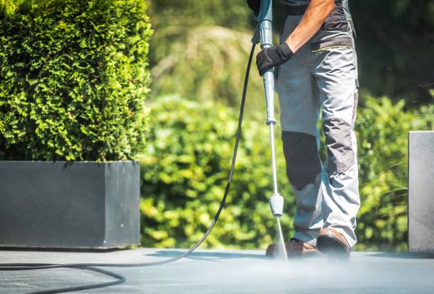 Best Soft Washing  in Kenneth City, FL
